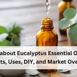 All About Eucalyptus Essential Oil