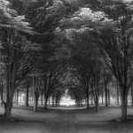 Geoffrey Leaver Solicitors